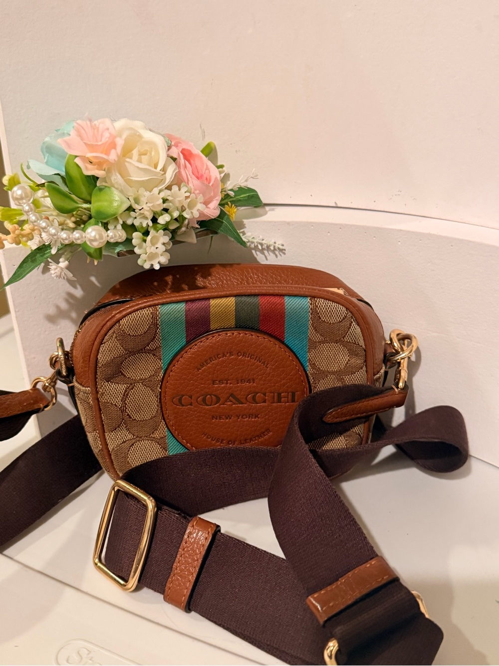 Coach Brown Signature Stripe Crossbody Camera Bag